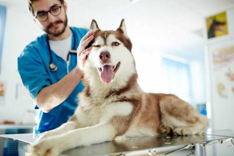 Clínica Especializada em Diagnóstico de Doença Canina Lagoa Santa - Diagnóstico de Doença de Cachorros