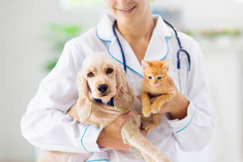 Clínica Especializada em Diagnóstico de Doença de Cachorro Araraquara - Diagnóstico de Doenças de Cachorros