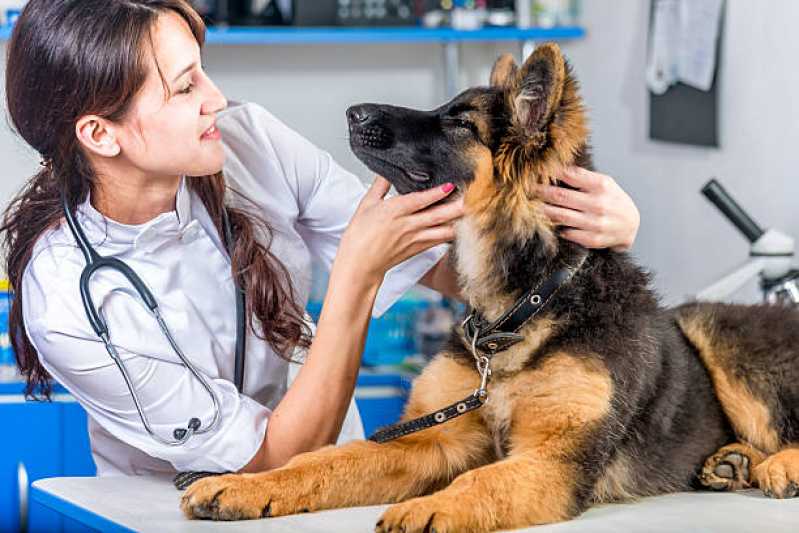 Clínica Especializada em Diagnóstico Pcr Veterinário Cruz das Almas - Diagnóstico de Doença de Cachorro
