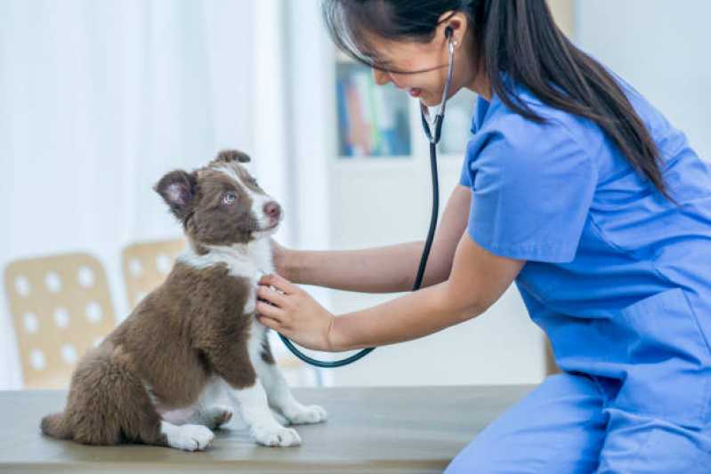 Clínica Especializada em Exame de Cinomose para Cães Moeda - Exame Pcr Cinomose