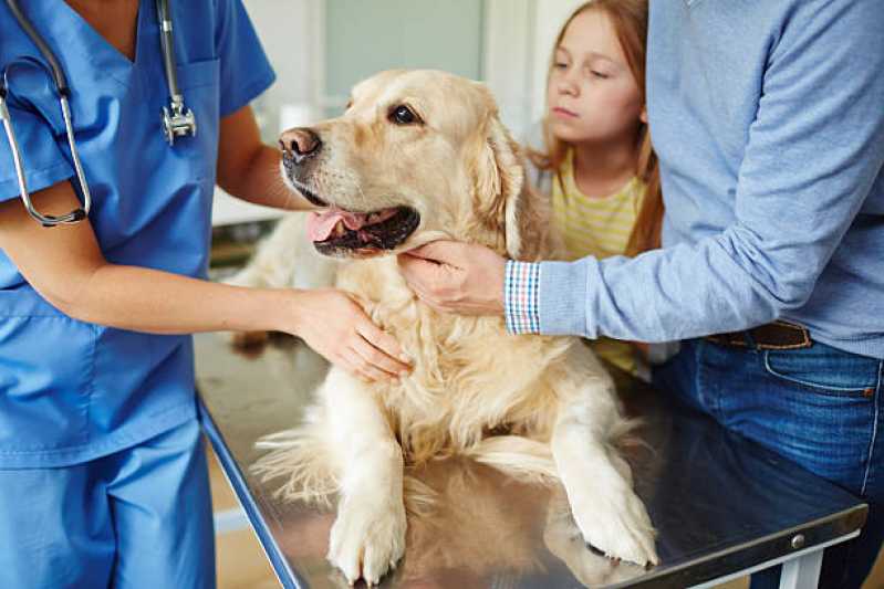 Clínica Especializada em Exame de Sangue Detecta Cinomose Casa Nova - Exame de Cinomose para Cães