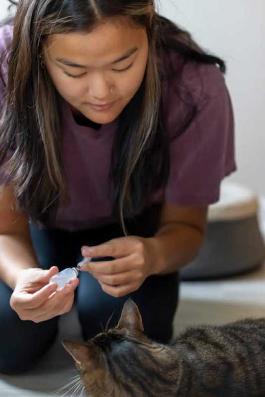 Clínica Especializada em Exame Pcr Animal Uba - Exame de Felv Regressor em Gatos
