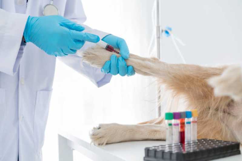 Clínica Especializada em Exame Pcr Cinomose Carmo - Exame de Cinomose para Animais