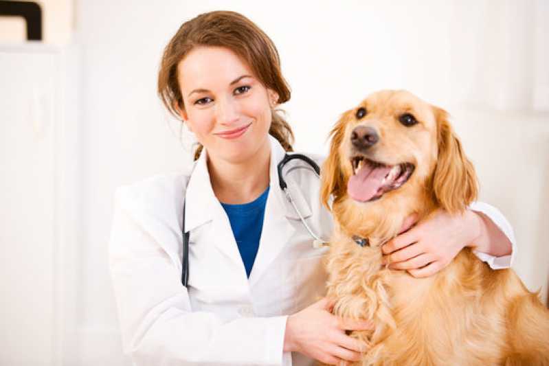 Clínica Especializada em Teste de Campylobacter para Animais Cotia - Teste de Parvovírus em Cães