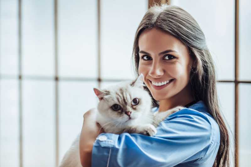 Clínica Especializada em Teste de Gatos Fiv e Felv Guarapuava - Teste para Gatos Fiv Felv