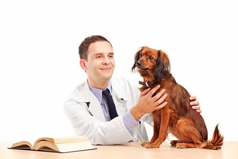 Clínica Especializada em Teste Genético para Animais Moeda - Teste Genético para Cães