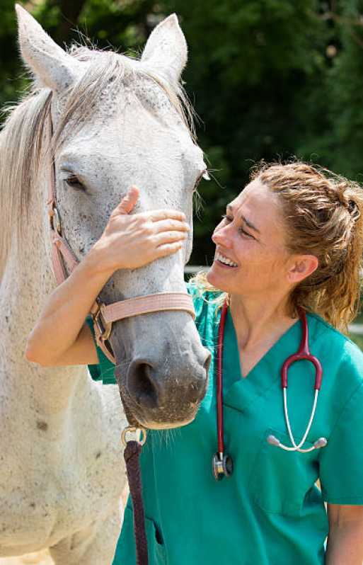 Clínica Especializada em Teste Genético para Cavalos Zona Oeste - Teste Genético para Cavalo