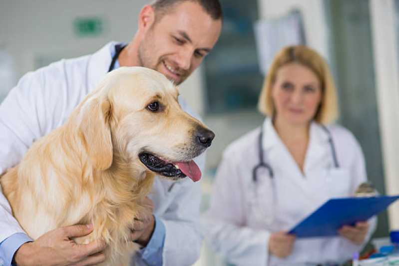 Clínica Especializada em Teste Leishmaniose Santa Barbara do Oeste - Teste Pcr Leishmaniose Canina