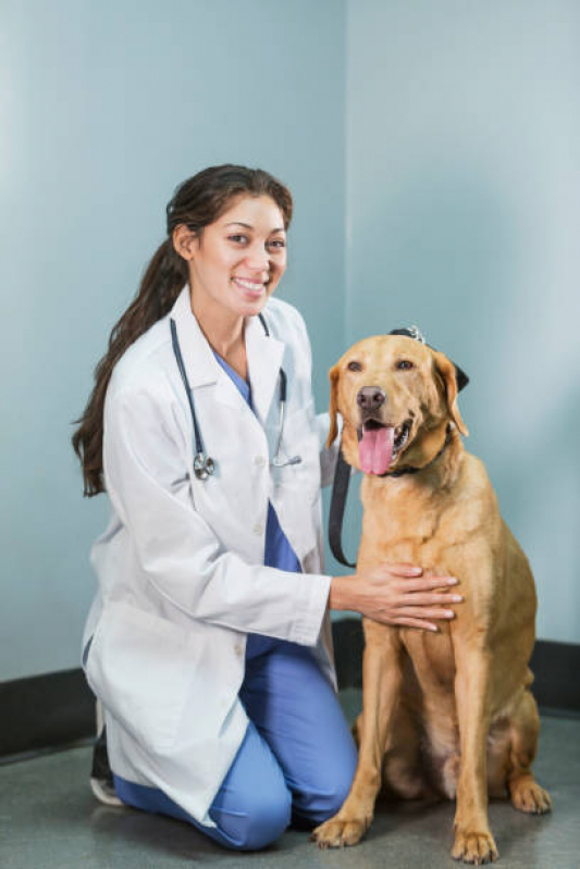 Clínica Especializada em Teste para Detectar Leishmaniose Embu das Artes - Teste para Leishmaniose Canina