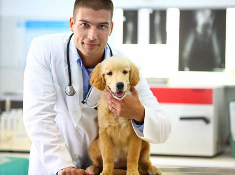 Clínica Especializada em Teste para Leishmaniose Canina Trajano de Moraes - Teste de Sangue Leishmaniose