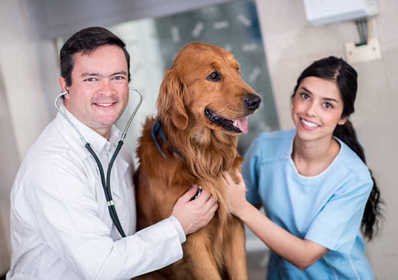 Clínica Especializada em Teste Pcr Leishmaniose Canina Cidade do Rio de Janeiro - Teste de Leishmaniose