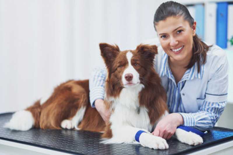 Contato de Laboratório de Diagnóstico de Genética Canina Irati - Laboratório de Diagnóstico Canino
