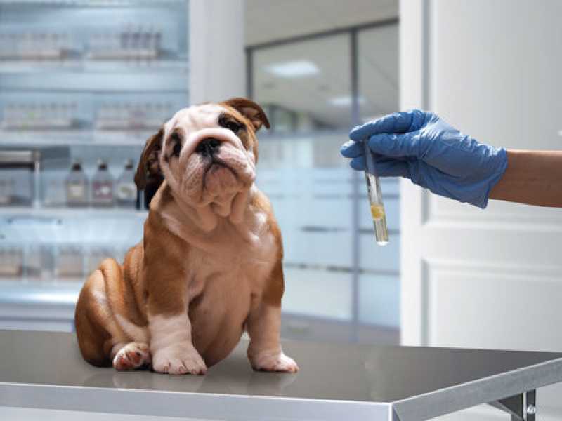 Contato de Laboratório para Pets Moeda - Laboratório Veterinário Próximo de Mim