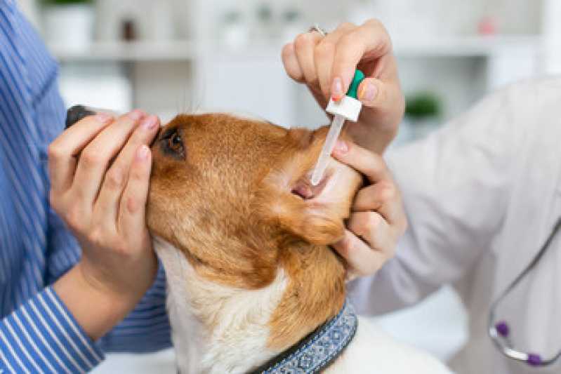 Diagnóstico de Doença de Cachorros Uberaba - Diagnóstico Pcr Veterinário