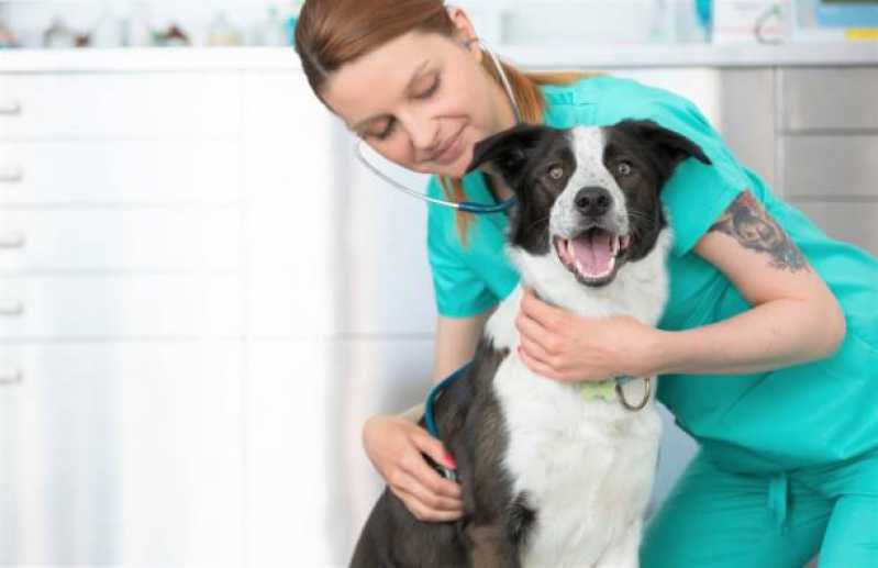 Diagnóstico de Hemoparasita Animal Condominio Riviera Park - Diagnóstico de Leishmania Braziliensis Canina