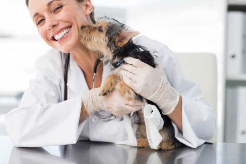 Diagnóstico Veterinário Pcr Clínica Vassouras - Diagnóstico de Doença Infecciosa em Animais