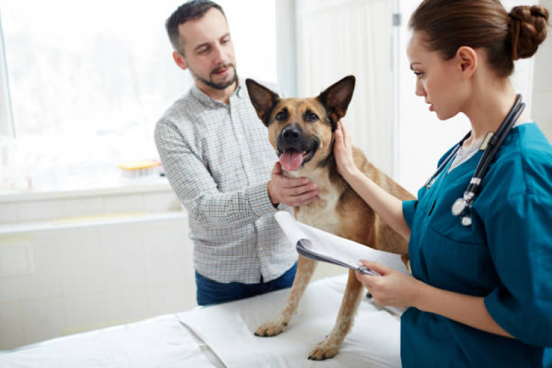 Diagnósticos de Leishmania Braziliensis Canina Condominio Jardins Veneza - Diagnóstico de Hemoparasita Animal