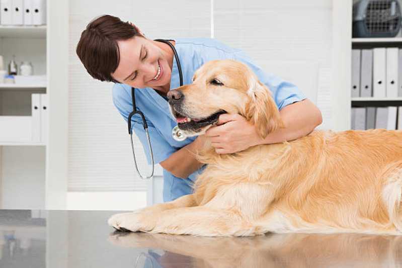 Diagnósticos de Leishmaniose Visceral Pinheiral - Diagnóstico de Leishmania Braziliensis Canina