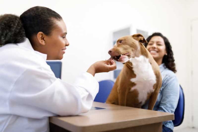 Empresa de Teste de Sangue Leishmaniose Uba - Teste de Leishmaniose em Cães