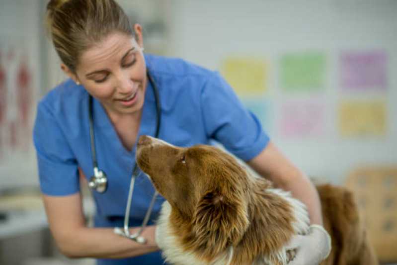 Empresa de Teste para Detectar Leishmaniose Americana - Teste Pcr Leishmaniose Canina