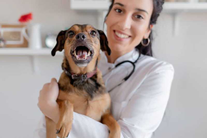 Endereço de Laboratório Veterinário Pet Telemaco Borba - Laboratório Canino