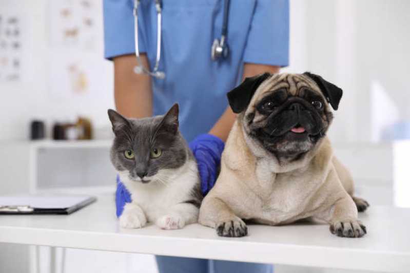 Endereço de Laboratório Veterinário Popular Monte Verde - Laboratório para Pets