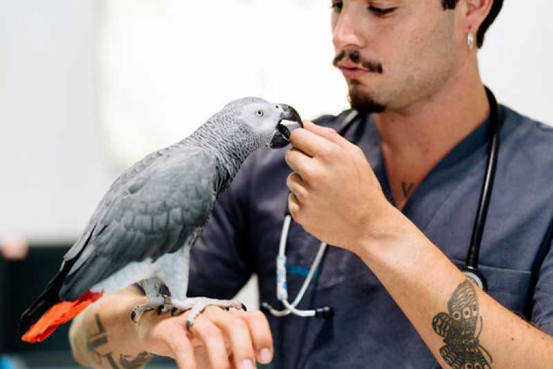 Exame Aviário Aves Clínica Teresópolis - Exame de Doença do Bico em Aves