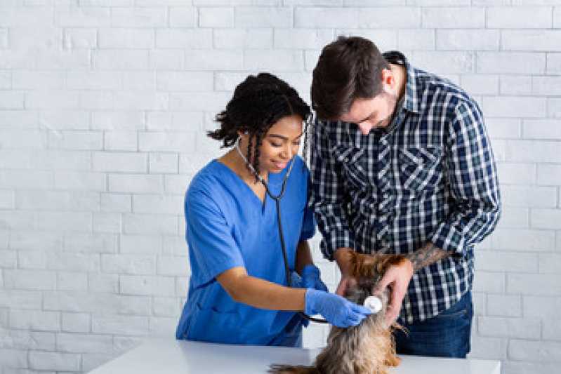 Exame Bordetella em Animais Clínica Casa Nova - Exame Respiratório em Cachorros