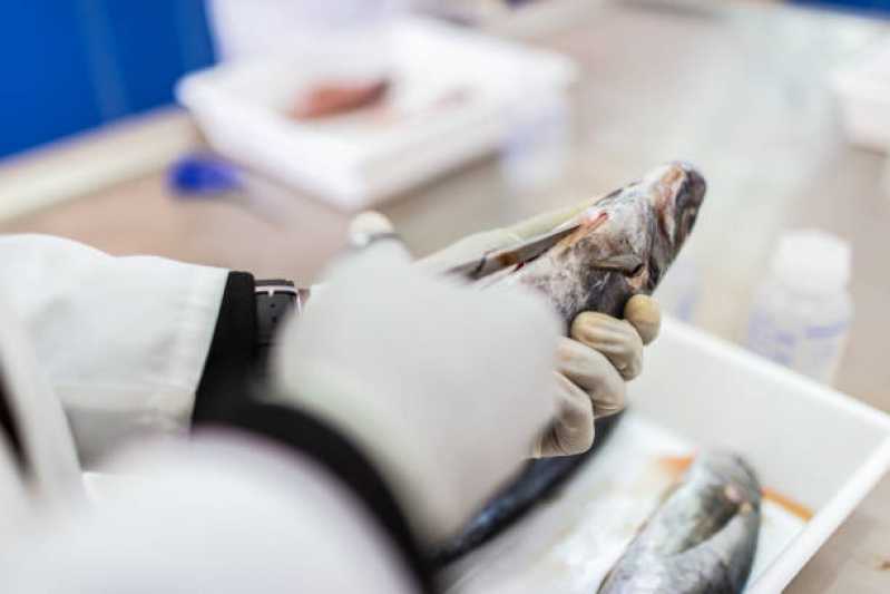 Exame de Inspeção em Peixes Cruzeiro - Exame de Piscicultura em Pescados