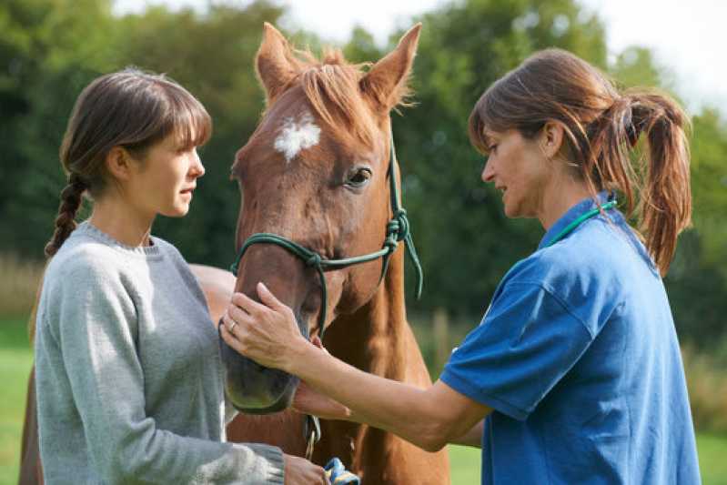 Exame Genético em Cavalo Clínica Formosa - Exame Genético em Cavalos