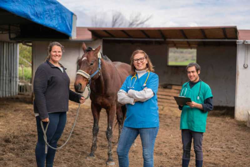 Exame Genético Equino Clínica Santa Barbara do Oeste - Exame Genético em Cavalos de Trabalho