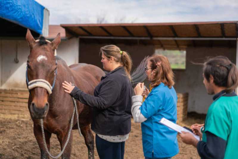 Exame Genético Equino Varre-Sai - Exame Genético em Cavalo