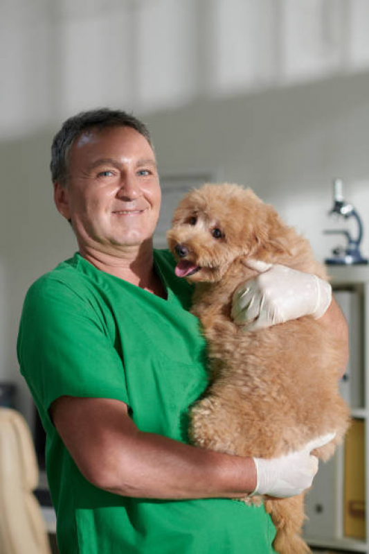 Exames de Cinomose em Animais Atibaia - Exame Neurológico em Cachorros
