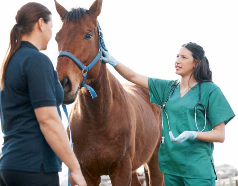 Exames de Diarreia em Equinos Indaiatuba - Exame de Clostridium em Animais