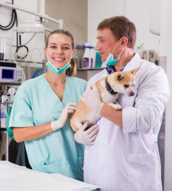 Laboratório Canino Contato Guarujá - Laboratório de Análises Veterinárias