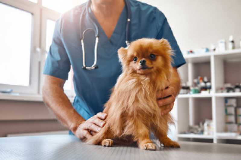Laboratório de Diagnóstico de Genética Canina Natividade - Laboratório de Diagnóstico Sanger