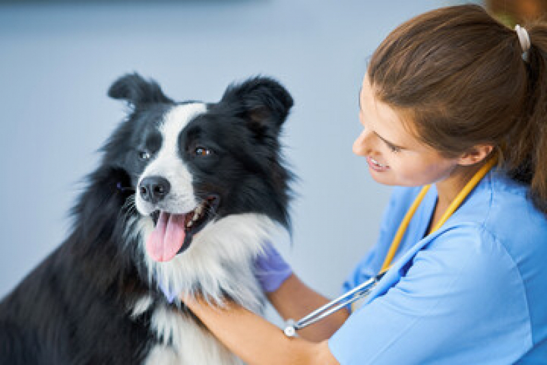 Laboratório de Diagnóstico Sanger Contato Itatiba - Laboratório de Diagnóstico Canino