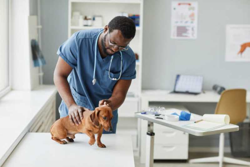 Laboratório Veterinário Pet Contato São João das Missões - Laboratório Veterinário Próximo de Mim