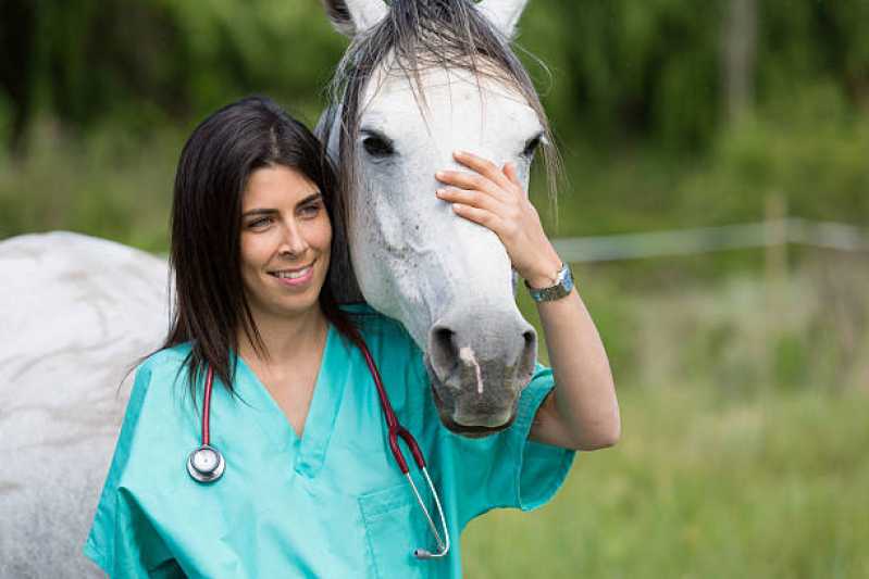 Onde Faz Abqm Uberlândia - Teste Genético em Cavalos