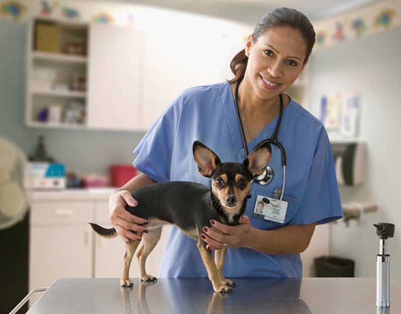 Onde Faz Diagnóstico de Leishmaniose Visceral Morada de Laranjeiras - Diagnóstico de Leishmaniose Canina