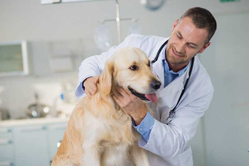 Onde Faz Exame Neurológico em Cachorros Itaocara - Exame Neurológico em Cães