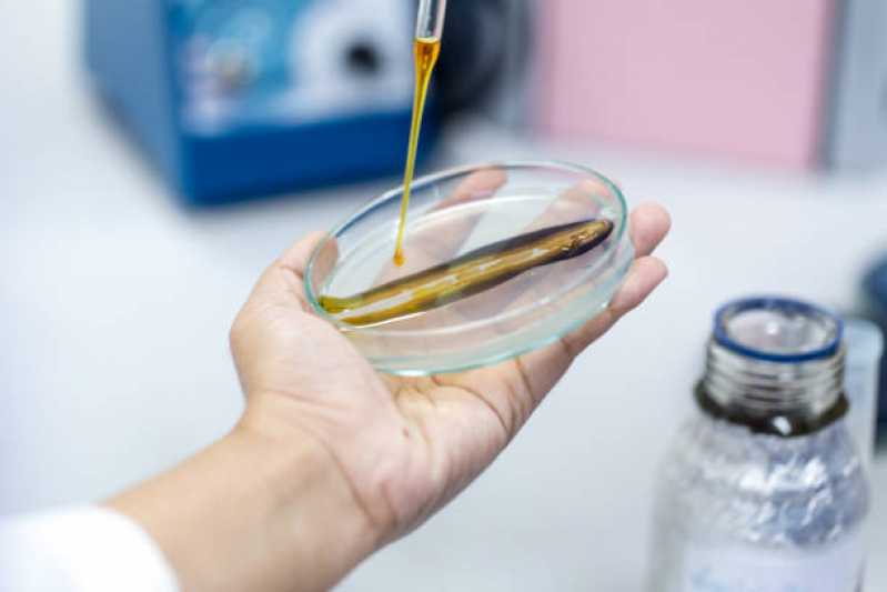 Onde Faz Teste de Micoplasma em Laboratório Petrópolis - Teste de Micoplasma em Cultivo Celular