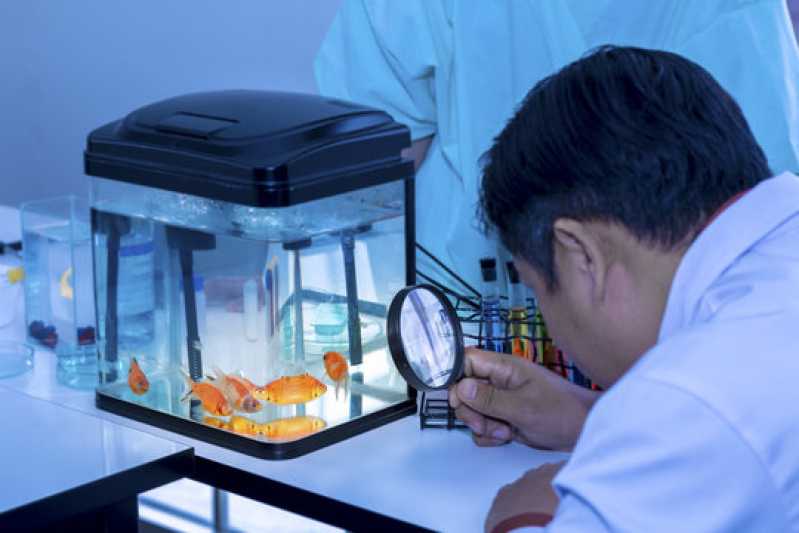 Onde Fazer Exame de Iridovirus em Peixes Sertãozinho - Exame de Inspeção em Peixes