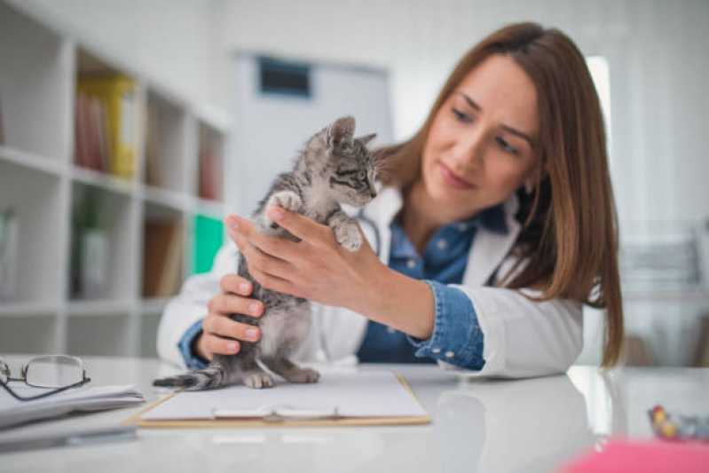 Onde Fazer Exame de Pcr para Gatos Rota do Lagarto - Exame de Pcr em Pet