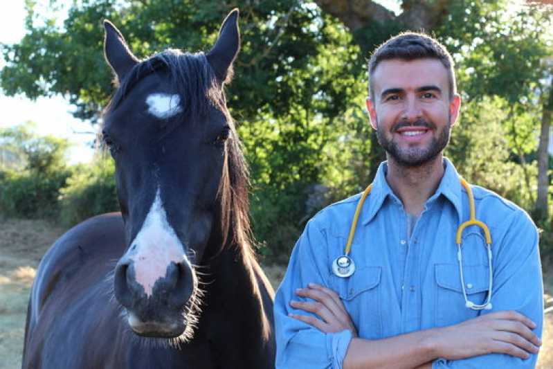 Onde Fazer Exame Genético em Cavalo Duque de Caxias - Exame Genético em Animais