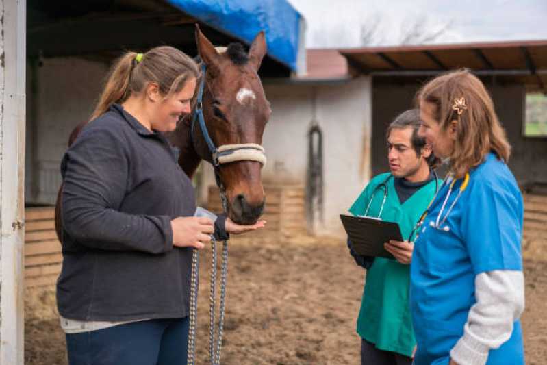 Onde Fazer Exame Genético em Cavalos Santa Barbara do Oeste - Exame Genético em Equinos