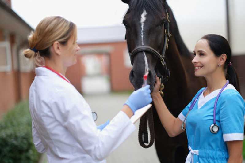 Onde Fazer Exame Genético em Equino Cidade do Rio de Janeiro - Exame Genético em Cavalo de Trabalho