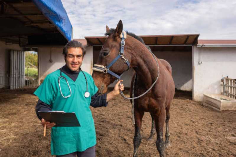 Onde Fazer Exame Genético Equino São José da Varginha - Exame Genético em Cavalos de Trabalho