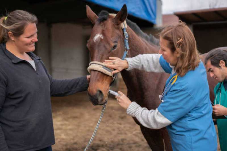 Onde Fazer Teste Genético em Cavalos Saquarema - Teste de Hypp em Equinos