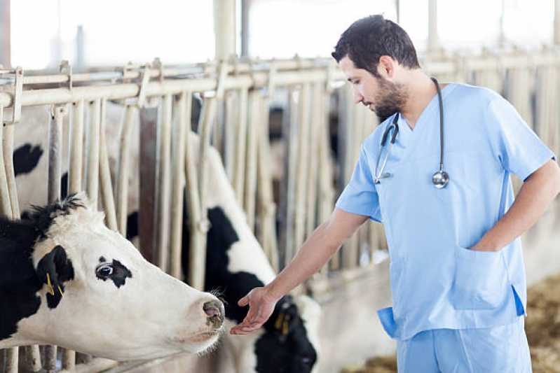 Exames Respiratórios em Animais